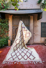 Load image into Gallery viewer, Amina Rug 3