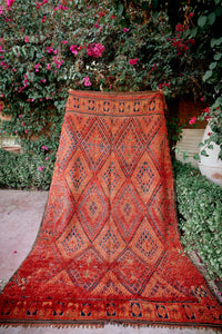 Almas Rug 1