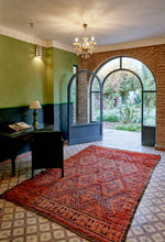 Load image into Gallery viewer, Almas Rug 2