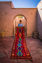Load image into Gallery viewer, Illy Rug