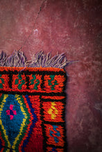 Load image into Gallery viewer, Illy Rug 1