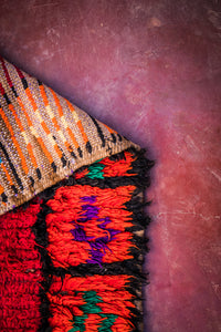 Illy Rug 2